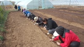 planting_tree2